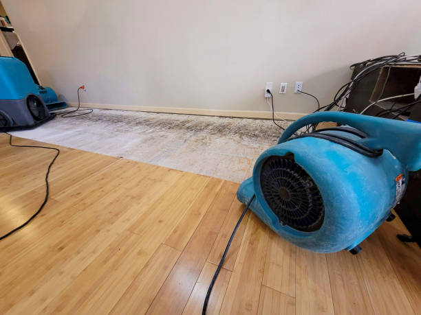 Professional Flood Damage Cleanup technician working in Arden, NC